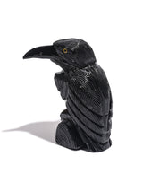 Black Onyx Raven Medium | Cg609