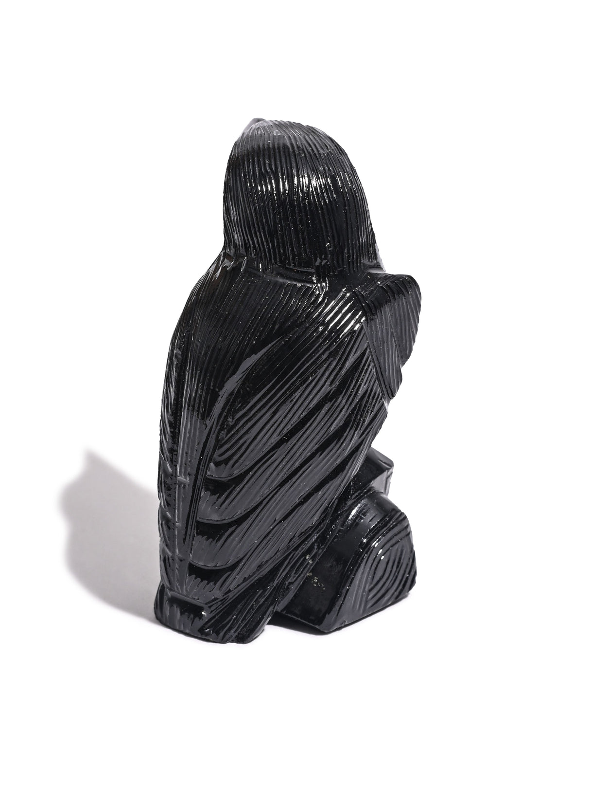 Black Onyx Raven Medium | Cg609
