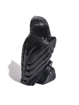 Black Onyx Raven Medium | Cg609