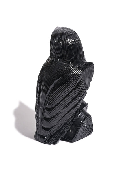 Black Onyx Raven Medium | Cg609
