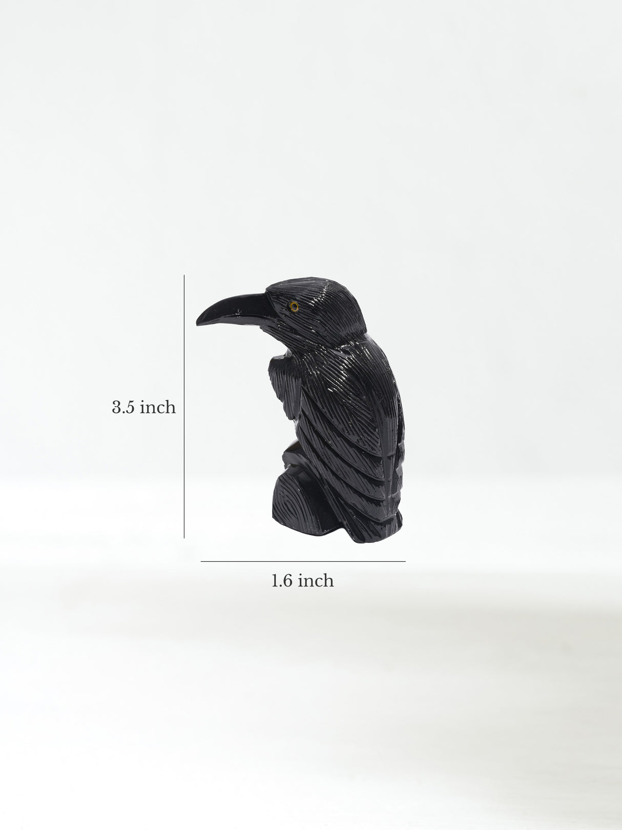Black Onyx Raven Medium | Cg609