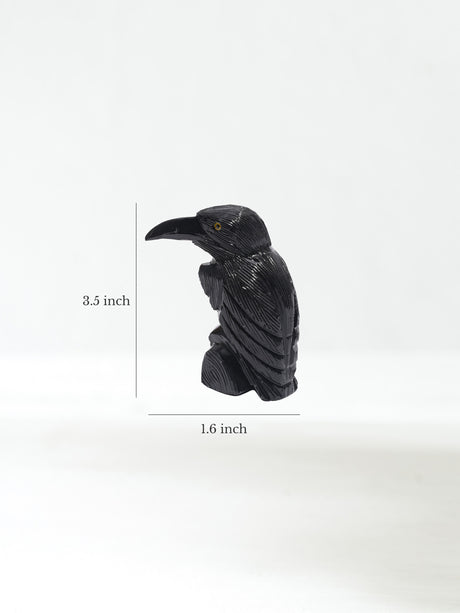 Black Onyx Raven Medium | Cg609