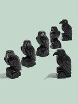 Black Onyx Raven