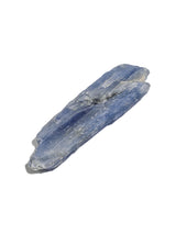 Rough Blue Kyanite  | Cg833-Small