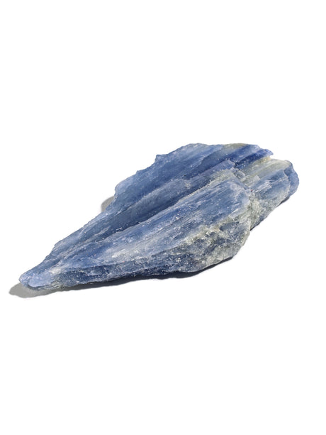Rough Blue Kyanite 1 | Cg833-Small