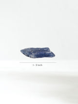 Rough Blue Kyanite Dimension | Cg833-Small