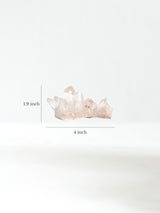 Himalayan Quartz A Dimension | Cg985