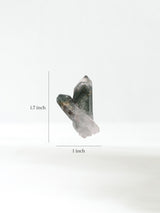 Himalayan Quartz L Dimension | Cg996