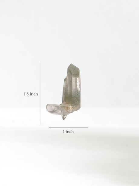 Himalayan Quartz M Dimension | Cg997