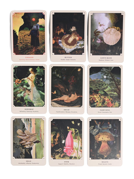 The Mushroom Oracle : 44 Card Deck & Guidebook 3 | dc07