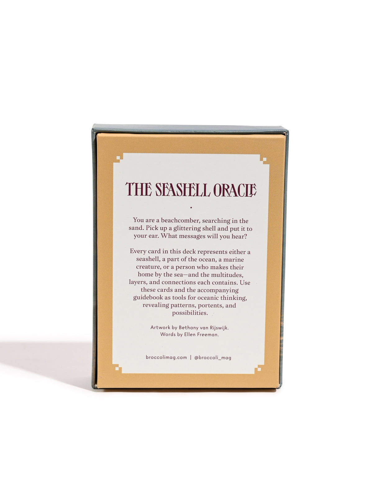 The Seashell Oracle : 44 Card Deck & Guidebook 2 | dc08