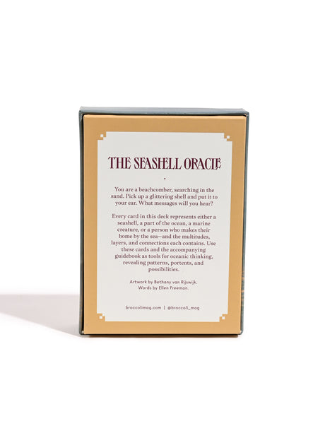 The Seashell Oracle : 44 Card Deck & Guidebook 2 | dc08