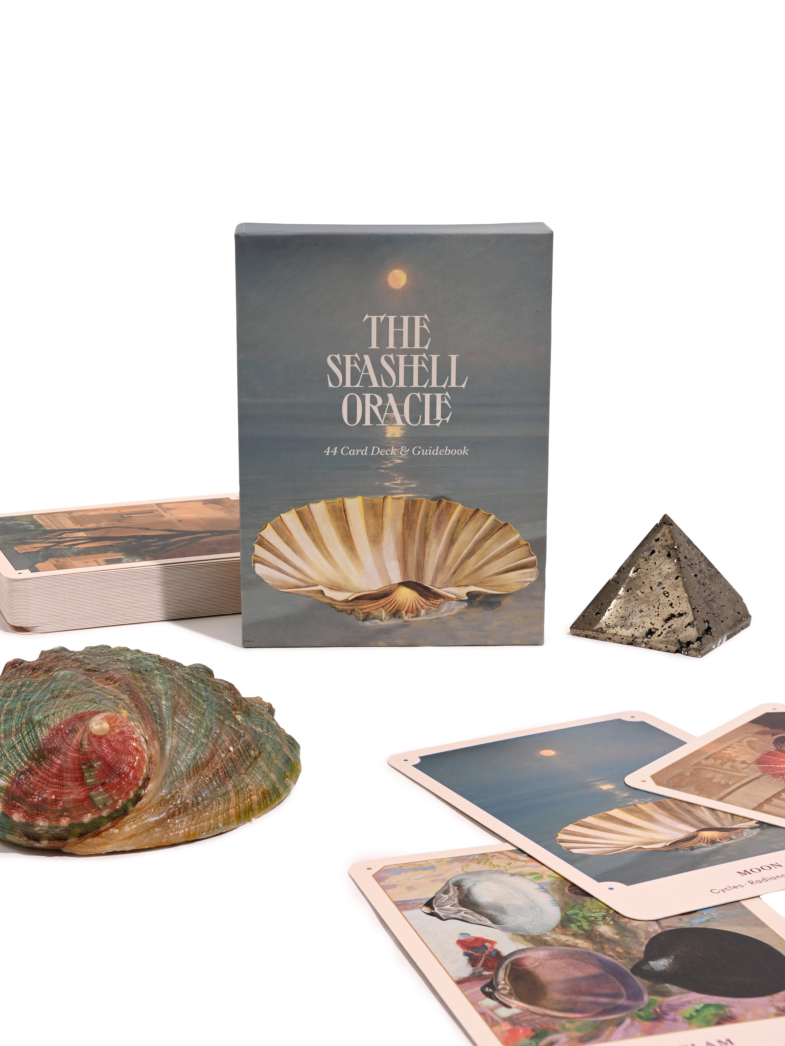 Sea Shell Oracle Pathfinder The Seashell Oracle : 44 Card Deck & Guidebook | dc08 | Shamans Market