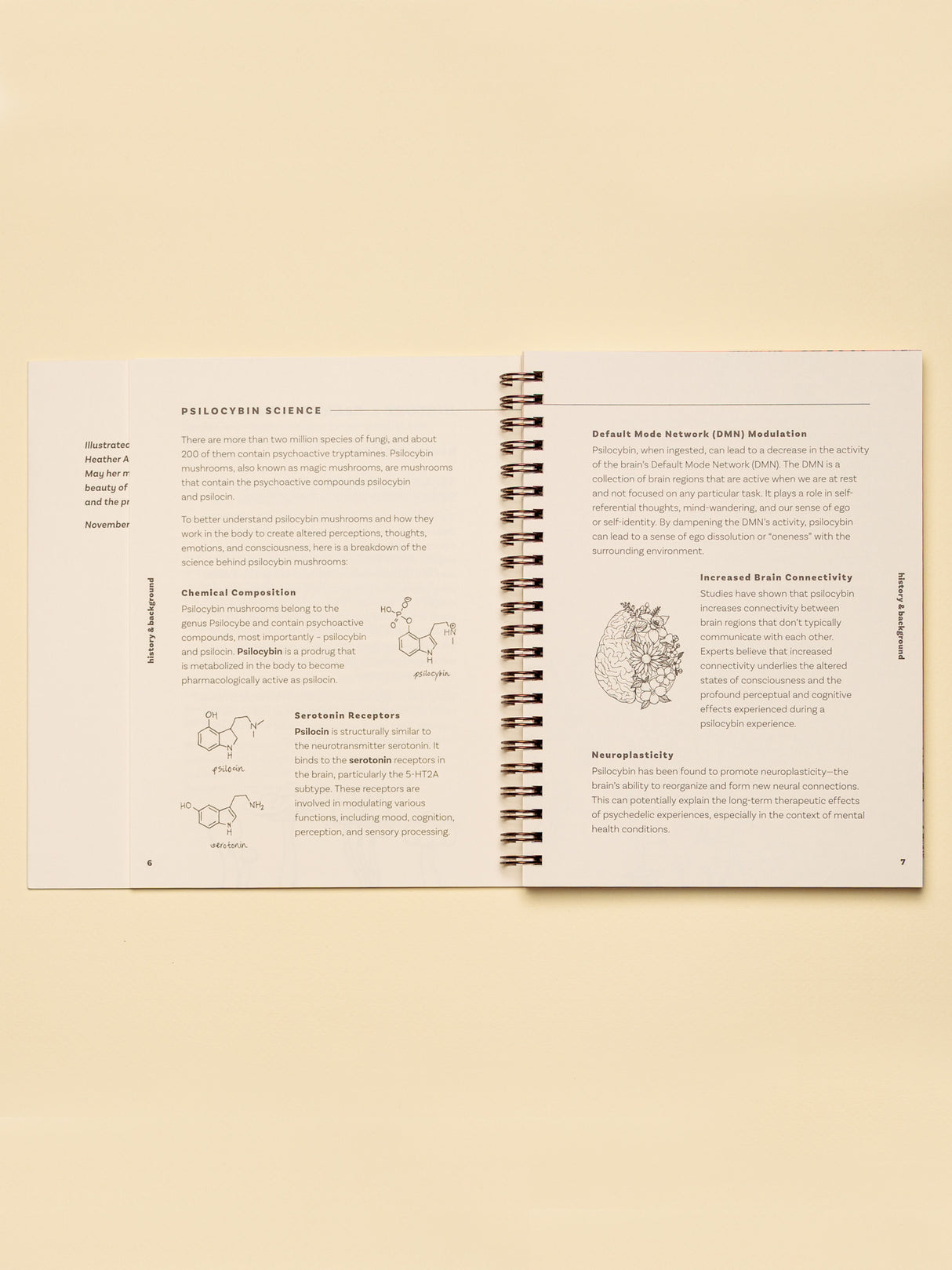The Magic Is You Journal: Self-Guided Psilocybin Integration & Reflection Journal 3 | bj0167