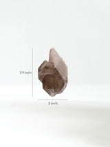 Elestial Smoky Quartz F Dimension | Cg840