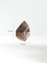 Elestial Smoky Quartz E Dimension | Cg839