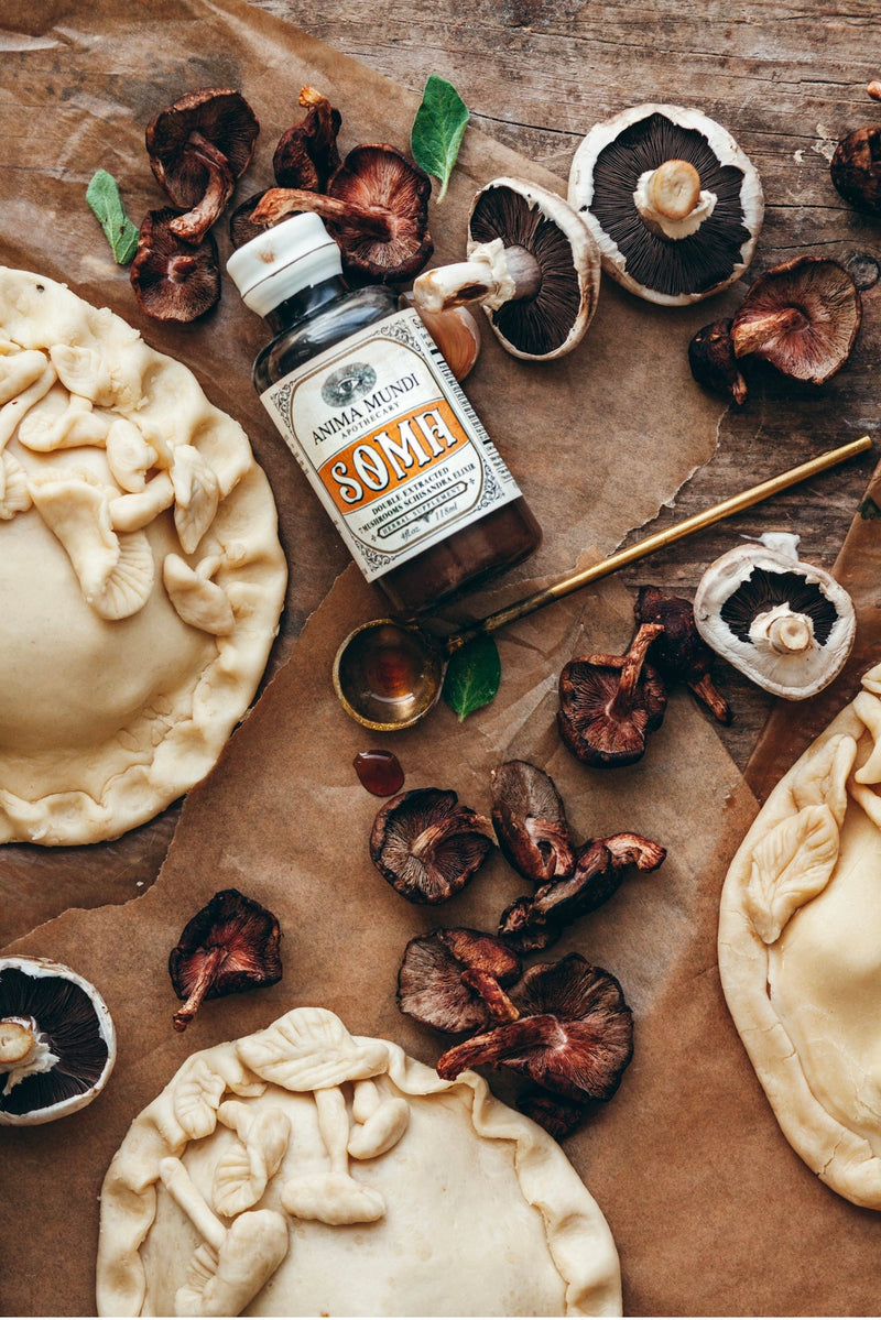 SOMA Elixir: 7 Mushrooms + Vitamin C