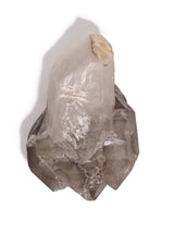 Elestial Smoky Quartz F 2 | Cg840