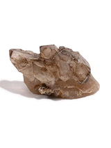 Elestial Smoky Quartz C | Cg837