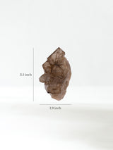 Elestial Smoky Quartz C Dimension | Cg837