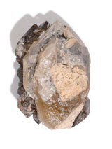 Elestial Smoky Quartz B 2 | Cg836