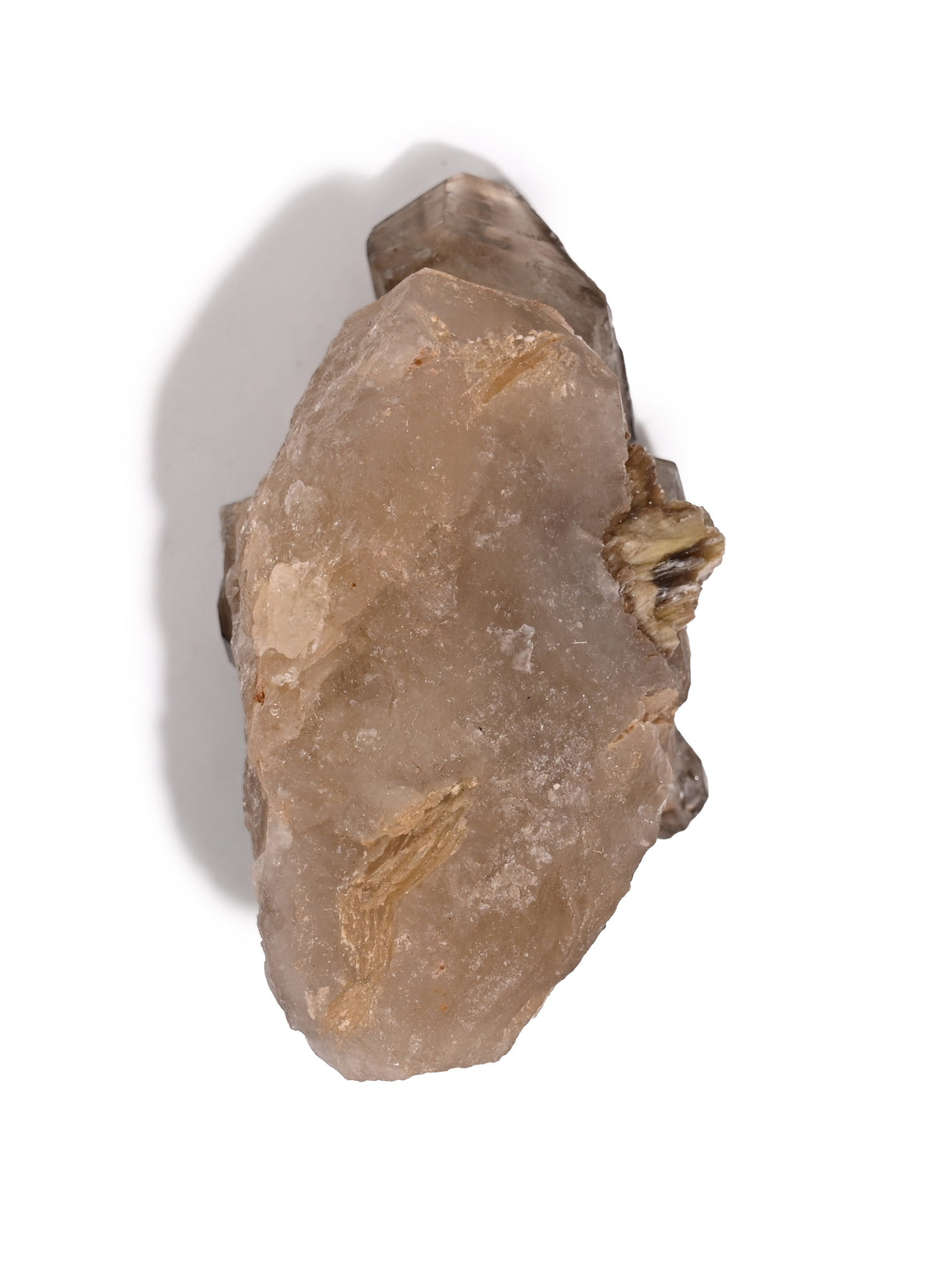 Elestial Smoky Quartz C 3 | Cg837