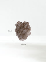 Elestial Smoky Quartz A Dimension | Cg831