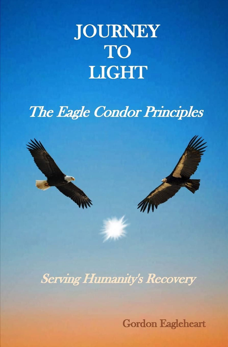 Journey to Light -The Eagle Condor Principles: Serving Humanity's Recovery