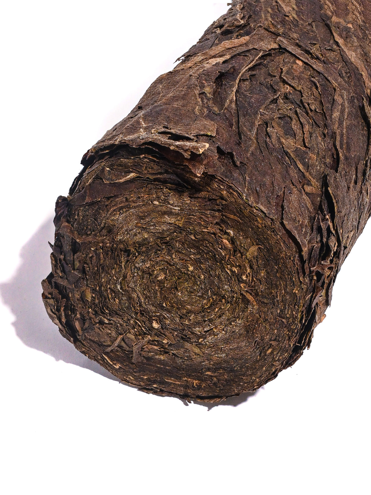 Peruvian Mapacho 2 | so009 | so010