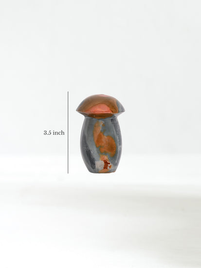Polychrome Jasper Mushroom A Dimension | Cg625