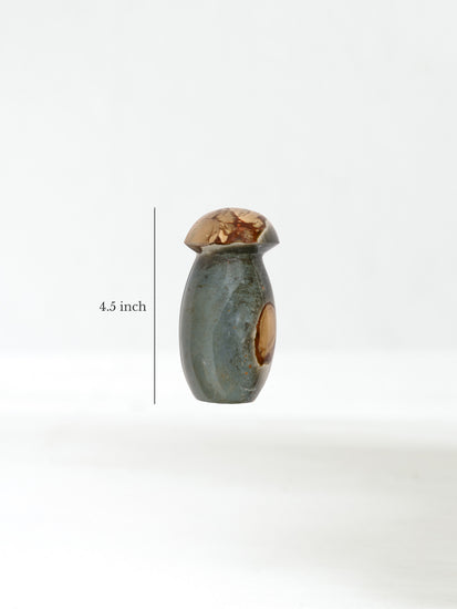 Polychrome Jasper Mushroom A Dimension | Cg625
