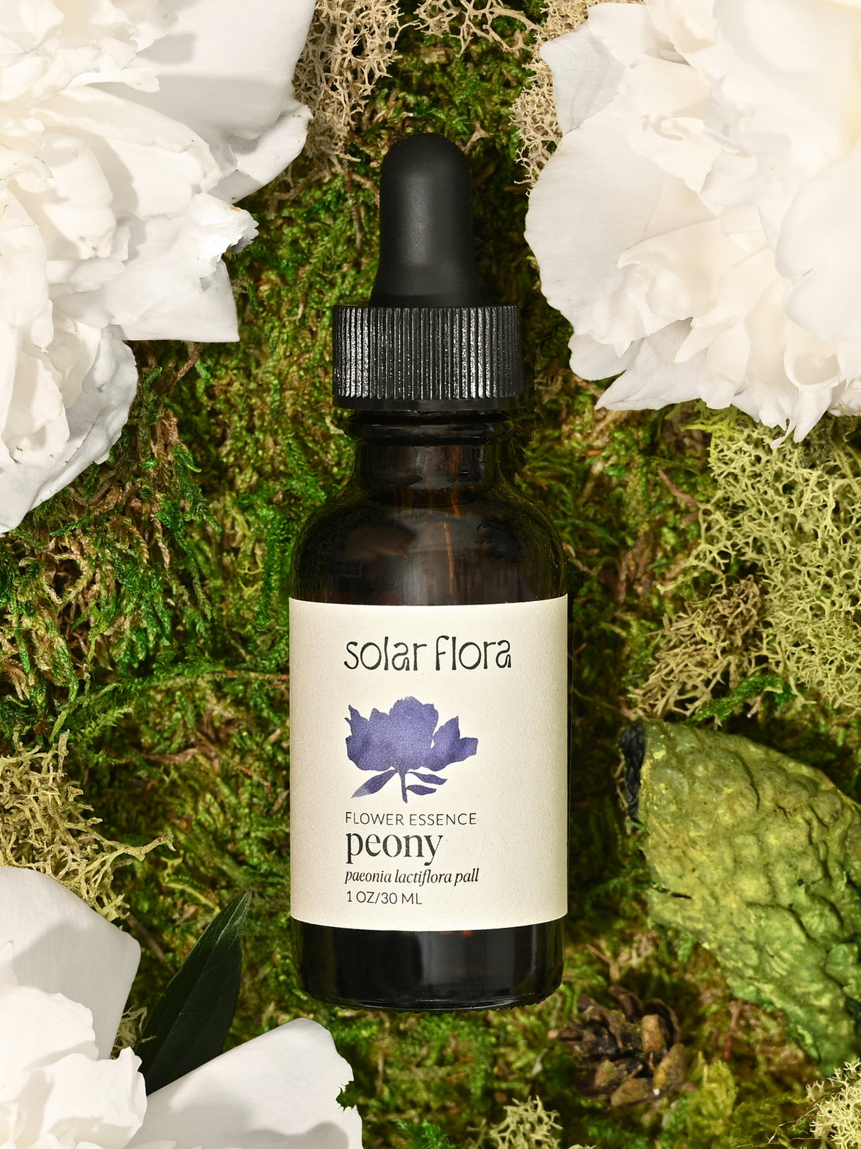 Flower Essence: Peony