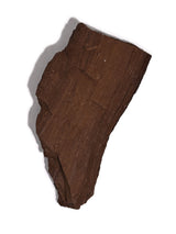 Permineralized Wood B | Cg1180