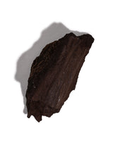Permineralized Wood E | Cg1183