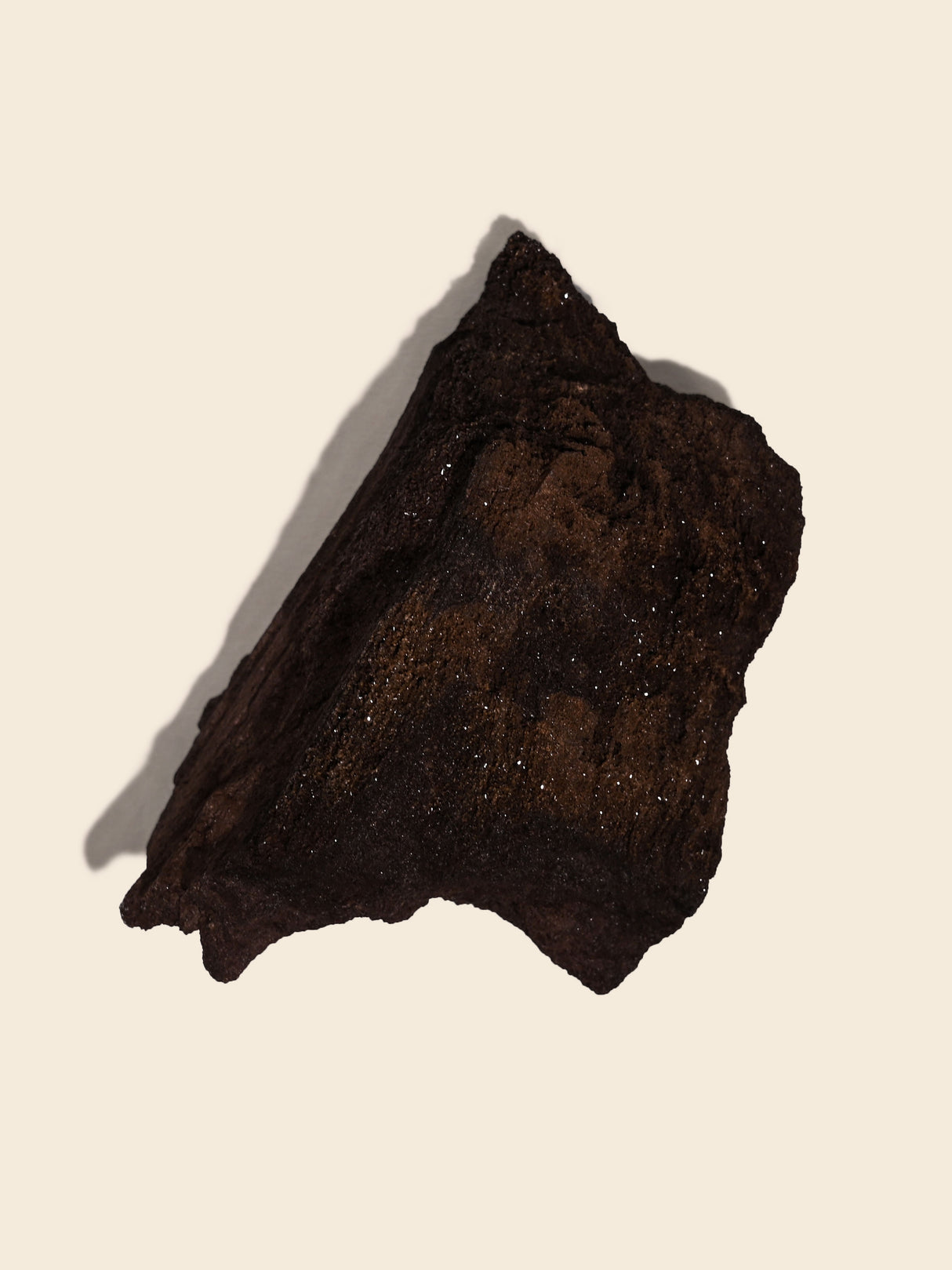 Permineralized Wood
