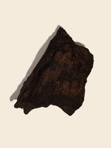 Permineralized Wood
