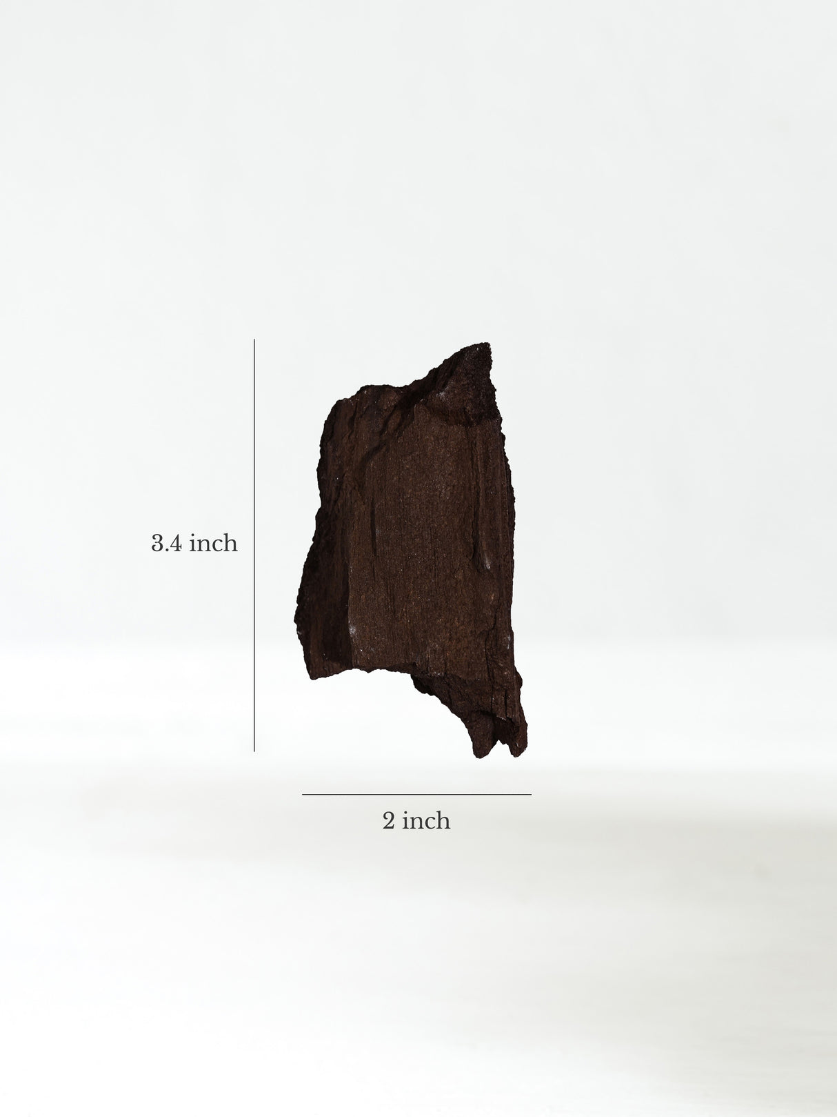 Permineralized Wood E Dimension | Cg1183