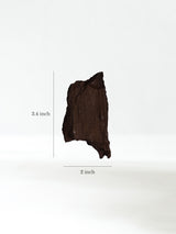 Permineralized Wood E Dimension | Cg1183