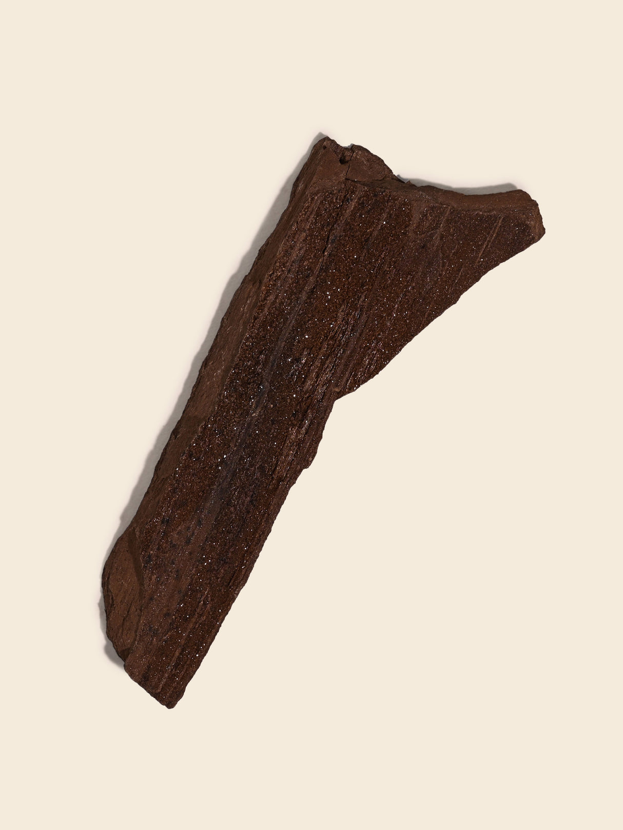 Permineralized Wood