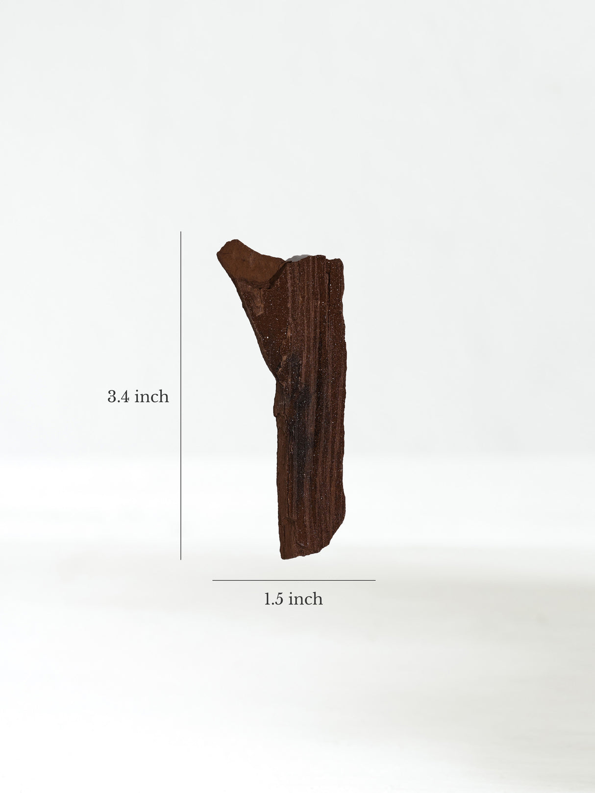 Permineralized Wood F Dimension | Cg1184