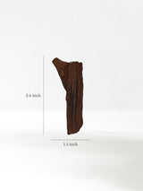 Permineralized Wood F Dimension | Cg1184