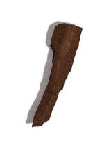 Permineralized Wood G | Cg1185