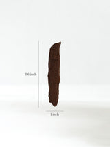 Permineralized Wood G Dimension | Cg1185