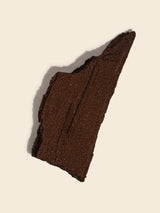 Permineralized Wood