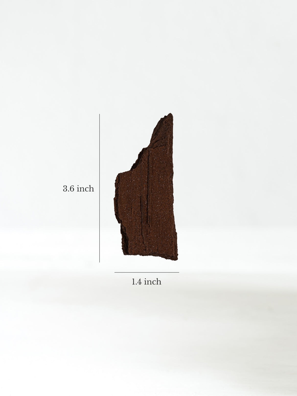 Permineralized Wood I Dimension | Cg1187