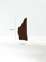 Permineralized Wood I Dimension | Cg1187