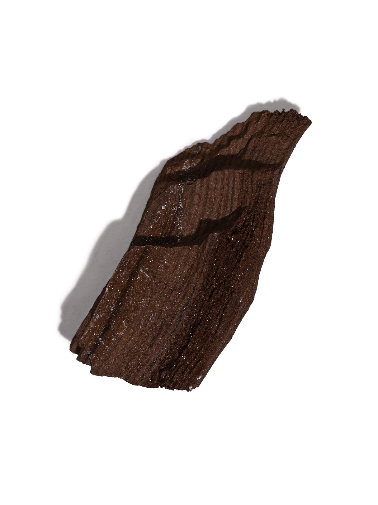 Permineralized Wood J | Cg1188