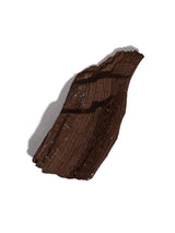 Permineralized Wood J | Cg1188