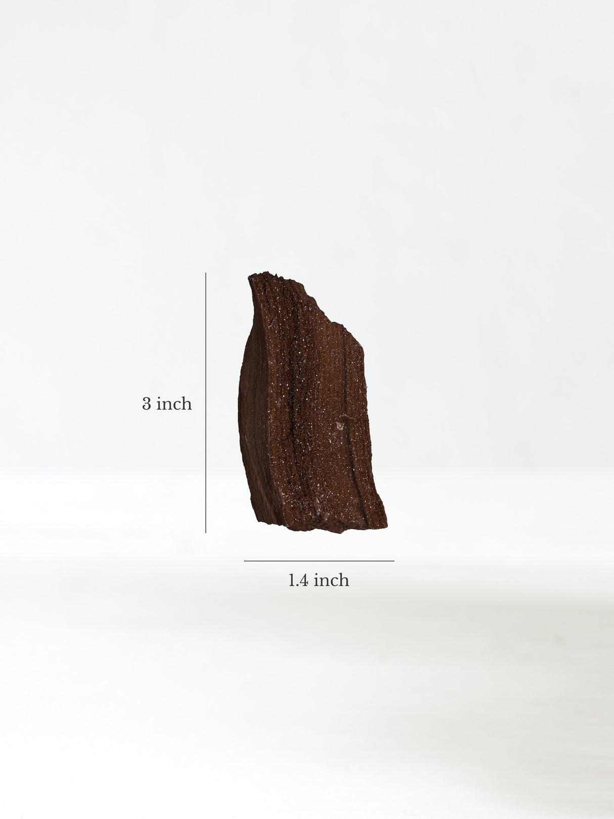Permineralized Wood J Dimension | Cg1188
