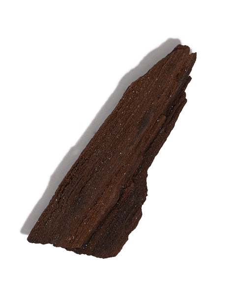 Permineralized Wood M | Cg1191